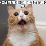Amazed cat | ME: MAKES A MEME, THE MEME: GETS 1,000 VIEWS
ME: | image tagged in amazed cat | made w/ Imgflip meme maker