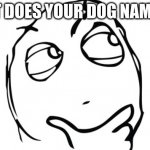 thinking meme face | WHAT DOES YOUR DOG NAME YOU | image tagged in thinking meme face | made w/ Imgflip meme maker