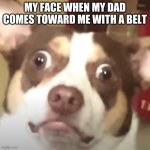 ... | MY FACE WHEN MY DAD COMES TOWARD ME WITH A BELT | image tagged in scared pupper | made w/ Imgflip meme maker