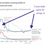 Corovirus deaths