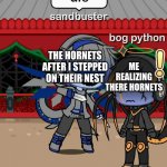 hornets | THE HORNETS AFTER I STEPPED ON THEIR NEST; ME REALIZING THERE HORNETS | image tagged in sandbuster stabs bog python | made w/ Imgflip meme maker