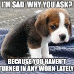 no work | I'M SAD  WHY YOU ASK? BECAUSE YOU HAVEN'T TURNED IN ANY WORK LATELY! | image tagged in sad puppy | made w/ Imgflip meme maker