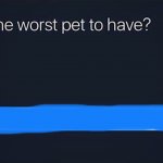 What’s the worst pet to have?