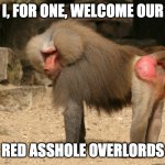 Baboon overlord | I, FOR ONE, WELCOME OUR; RED ASSHOLE OVERLORDS | image tagged in baboon | made w/ Imgflip meme maker
