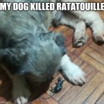 Ratatouille was killed by a dog | MY DOG KILLED RATATOUILLE | image tagged in ratatouille is killed | made w/ Imgflip meme maker