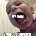 Just panik no kalm | MY MOM; SMALL COCKROACH | image tagged in panik | made w/ Imgflip meme maker