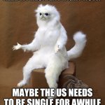 Single America | MAYBE WE JUST DON'T NEED A PRESIDENT RIGHT NOW. MAYBE THE US NEEDS TO BE SINGLE FOR AWHILE SO SHE CAN FIND HERSELF. | image tagged in memes,persian cat room guardian single | made w/ Imgflip meme maker