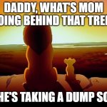 Lion King | DADDY, WHAT'S MOM DOING BEHIND THAT TREE? SHE'S TAKING A DUMP SON | image tagged in memes,lion king | made w/ Imgflip meme maker