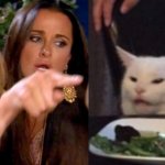 woman yelling at cat cropped meme