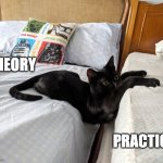 Gap cat | THEORY; PRACTICE | image tagged in gap cat | made w/ Imgflip meme maker