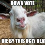 bored goat | DOWN VOTE; OR DIE BY THIS UGLY BEAST | image tagged in bored goat | made w/ Imgflip meme maker