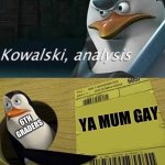 ... | 6TH GRADERS; YA MUM GAY | image tagged in kowalski analysis | made w/ Imgflip meme maker