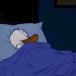 Sleeping Donald Duck meme