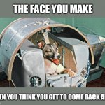 6 Days of Laika, Day 3 | THE FACE YOU MAKE; WHEN YOU THINK YOU GET TO COME BACK ALIVE | image tagged in laika | made w/ Imgflip meme maker
