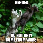 Cat Fight | HEROES; DO NOT ONLY COME FROM WARS | image tagged in cat fight | made w/ Imgflip meme maker