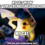 It's all he wanted... | MY CAT: *MEOW*
ME: *GIVES THE NUCLEAR LAUNCH CODES; MY CAT: | image tagged in did you just understand me | made w/ Imgflip meme maker