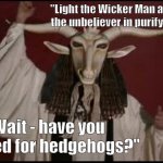 PAGAN | "Light the Wicker Man and sacrifice the unbeliever in purifying flame!"; "Wait - have you checked for hedgehogs?" | image tagged in pagan | made w/ Imgflip meme maker