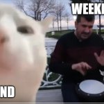 vibing cat | WEEKEND; MY MIND | image tagged in vibing cat | made w/ Imgflip meme maker