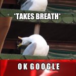 this happens to me all the time | HEY GOOGLE; *TAKES BREATH*; O K  G O O G L E | image tagged in screaming bird | made w/ Imgflip meme maker