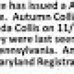 Nov 5, 2020 child abduction