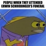 So is he gonna pop out of the coffin yet? | PEOPLE WHEN THEY ATTENDED ERWIN SCHRODINGER'S FUNERAL | image tagged in hmmmmmmmm | made w/ Imgflip meme maker