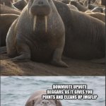 Walrus of wisdom | DOWNVOTE UPVOTE BEGGARS, AS IT GIVES YOU POINTS AND CLEANS UP IMGFLIP | image tagged in walrus of wisdom,fun,funny,meme,lol,too funny | made w/ Imgflip meme maker