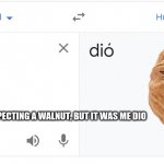 proof that dio is not dead after all | YOU WERE EXPECTING A WALNUT, BUT IT WAS ME DIO | image tagged in walnut dio | made w/ Imgflip meme maker
