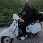 Chi vespe mangia  le mele