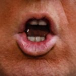 Trump Anus