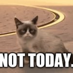 Grumpy cat Doesn't want to be memed. Scroll down and come back later. (Don't upvote!) | NOT TODAY. | image tagged in gifs,grumpy cat,no upvotes | made w/ Imgflip video-to-gif maker