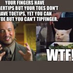 Smudge | YOUR FINGERS HAVE FINGERTIPS BUT YOUR TOES DON'T HAVE TOETIPS, YET YOU CAN TIPTOE BUT YOU CAN'T TIPFINGER. WTF! | image tagged in giorgio and smudge | made w/ Imgflip meme maker