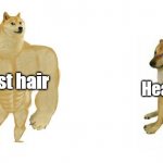 Hair fall | Head Hair; Chest hair | image tagged in strong doge weak doge | made w/ Imgflip meme maker