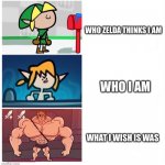 Links life | WHO ZELDA THINKS I AM; WHO I AM; WHAT I WISH IS WAS | image tagged in terminalmontage link | made w/ Imgflip meme maker