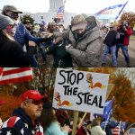 Trumpests freak out