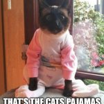 cats pajamas