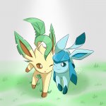 Leafeon x glaceon