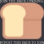 Join the breb uprising