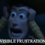 Visible frustration | *VISIBLE FRUSTRATION* | image tagged in woody visible frustration | made w/ Imgflip meme maker