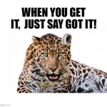 Leopard And Hearing Aid | image tagged in leopard and hearing aid | made w/ Imgflip meme maker