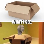 tonk | WHAT MY PARENTS SEE:; WHAT I SEE: | image tagged in tonk,meme man,memes,funny,box,idk | made w/ Imgflip meme maker
