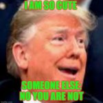 funny trump | I AM SO CUTE; SOMEONE ELSE: NO YOU ARE NOT | image tagged in robin dabank | made w/ Imgflip meme maker