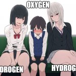 Anime women on train | OXYGEN; HYDROGEN; HYDROGEN | image tagged in anime women on train | made w/ Imgflip meme maker