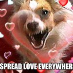 Dog love | SPREAD LOVE EVERYWHERE! | image tagged in love | made w/ Imgflip meme maker