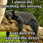 bear | I almost did something this morning. I sat down to rest and the desire to do it went away! | image tagged in bear | made w/ Imgflip meme maker