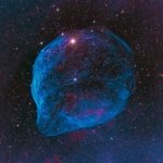 Dolphin head nebula