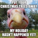 For all you early Christmas folk | PUT YOUR CHRISTMAS TREES AWAY, MY HOLIDAY HASN'T HAPPENED YET! | image tagged in angry turkey,thanksgiving,christmas | made w/ Imgflip meme maker