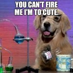 Image title | YOU CAN'T FIRE ME I'M TO CUTE. | image tagged in memes,i have no idea what i am doing dog | made w/ Imgflip meme maker