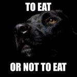 black dog of depression | TO EAT; OR NOT TO EAT | image tagged in black dog of depression | made w/ Imgflip meme maker