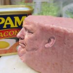 Trump spam