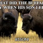 Daily Bad Dad Joke Nov 11 2020 | WHAT DID THE BUFFALO SAY WHEN HIS SON LEFT? BISON! | image tagged in buffalo support | made w/ Imgflip meme maker